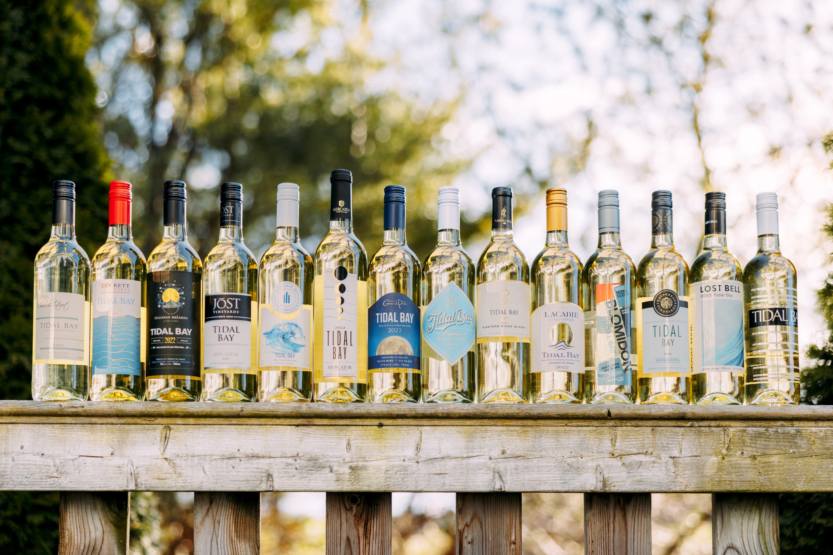 Bottles of wine lined up on a patio