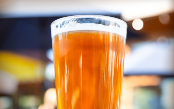 Glass of Beer