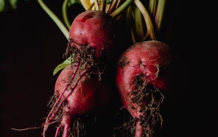 Beets with leaves and roots