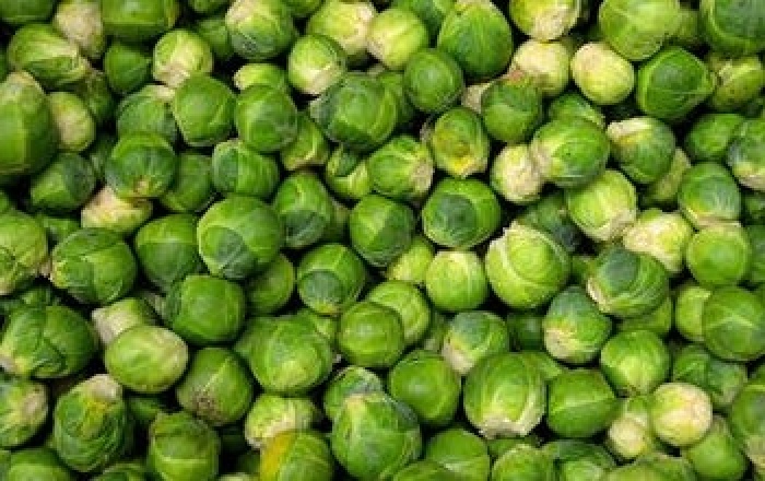 Brussels Sprouts