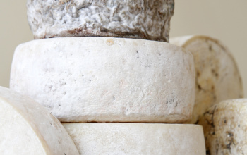 Different types of cheese stacked together
