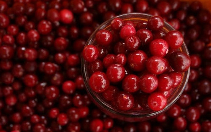 Cranberries in a bowl