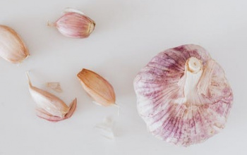 A head of garlic with a few clove off to the side