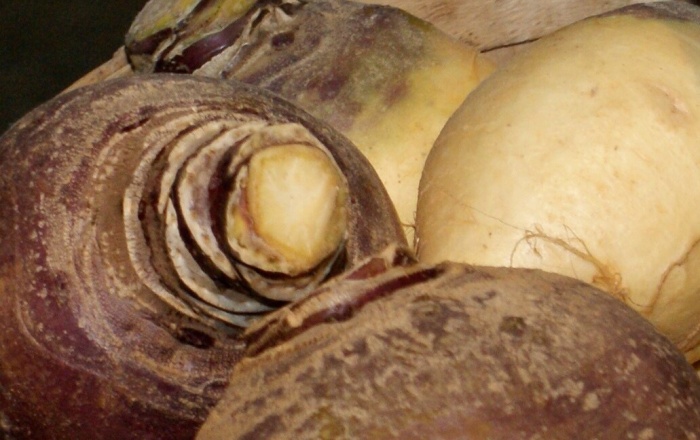 Pile of turnips